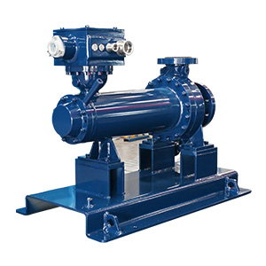 Canned Motor Pumps